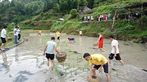 田间劳作娱乐,农耕娱乐文化探析