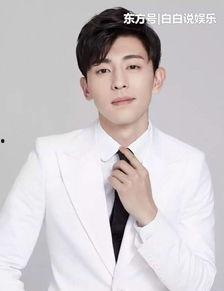 明星瀚什么,揭秘明星瀚的璀璨人生